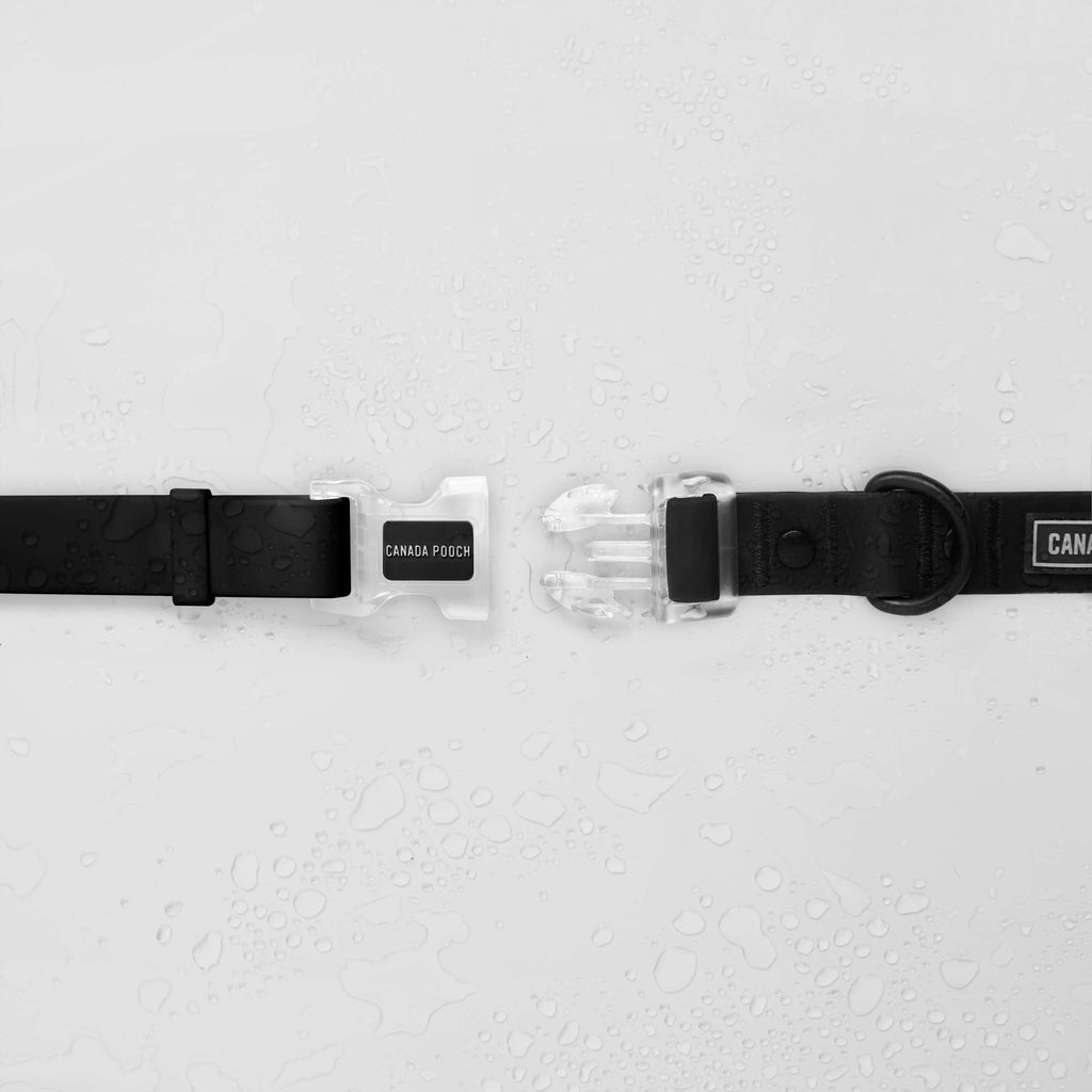 Waterproof Collar