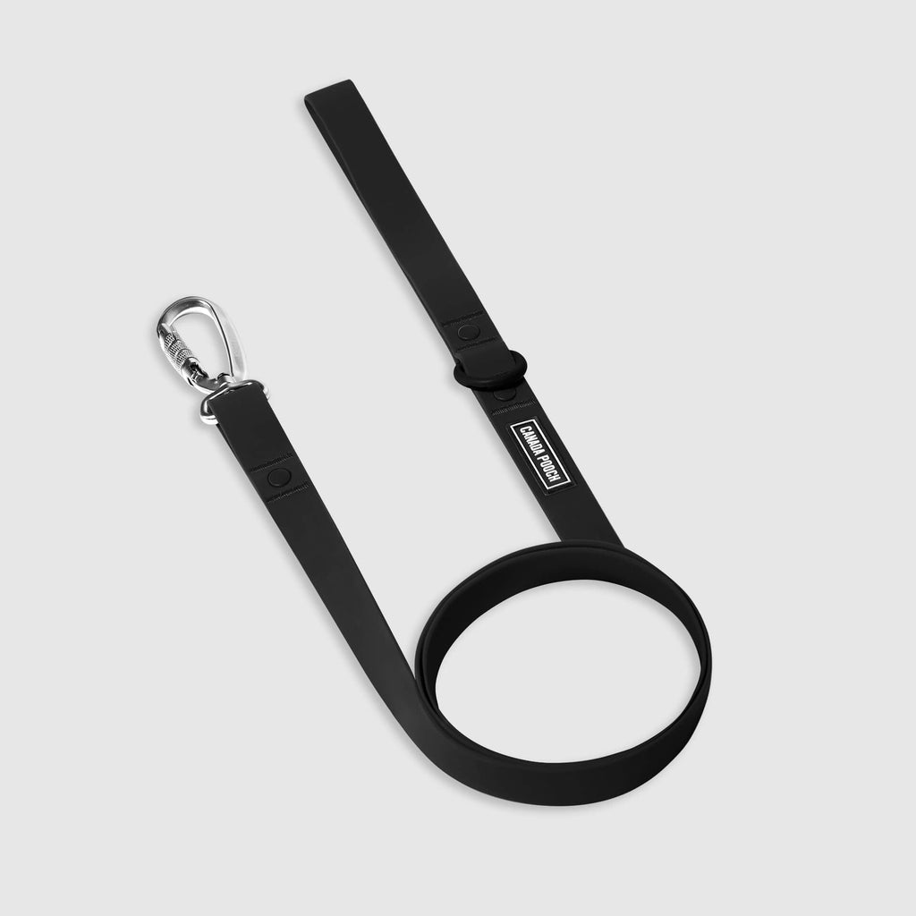 Waterproof Leash I0